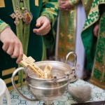 2016.07.18 Престольный праздник на Архиерейском подворье, г.о. Чапаевск