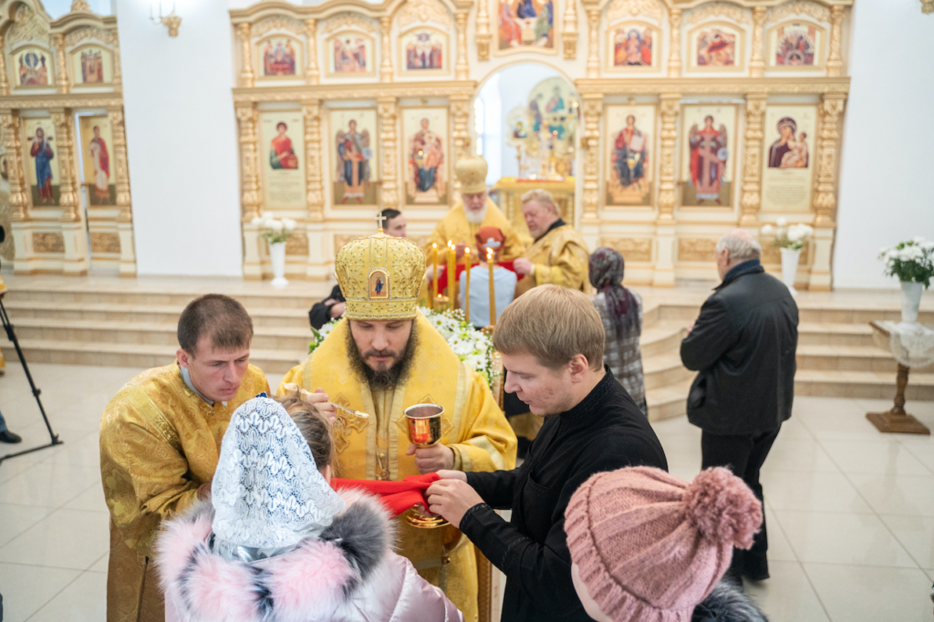 17 ноября  2019 года