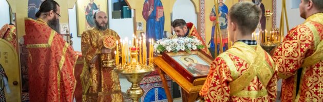 8 ноября 2024 года