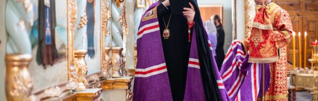 17 мая 2025 года