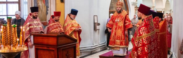 24 мая 2025 года