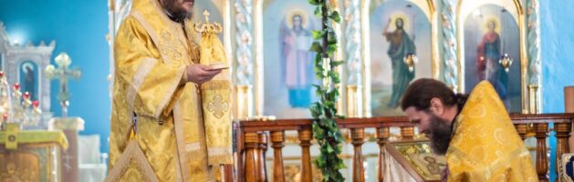 17 июня 2025 года