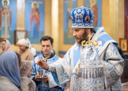 3 ноября 2025 года