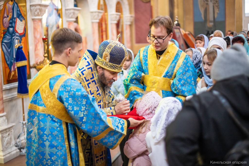 4 ноября 2025 года