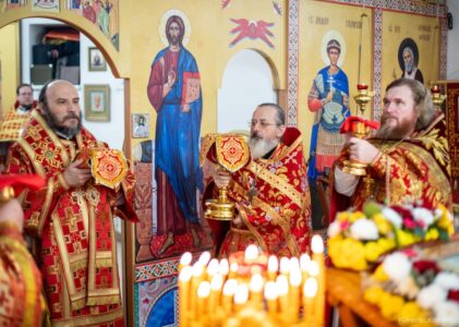 8 ноября 2025 года