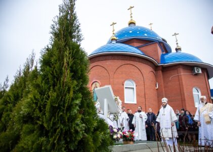 11 ноября 2025 года