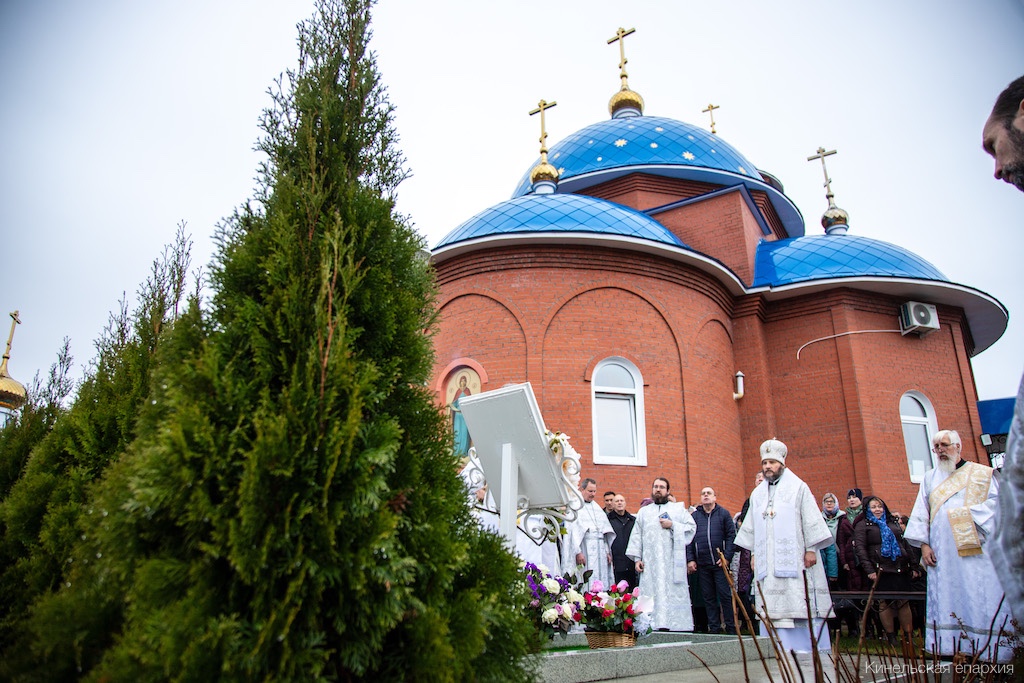 11 ноября 2025 года
