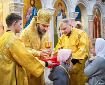 15 ноября 2025 года