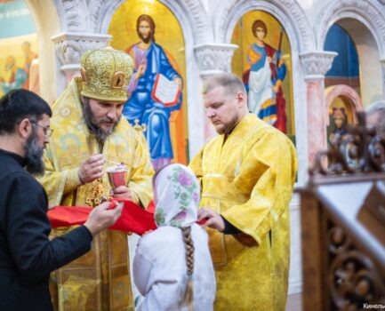 18 ноября 2025 года