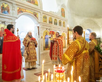 21 ноября 2025 года