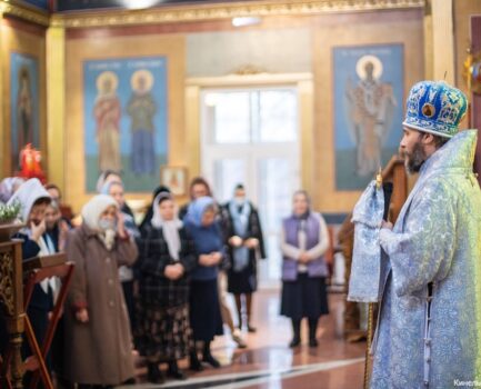 22 ноября 2025 года