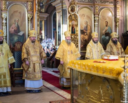 23 ноября 2025 года