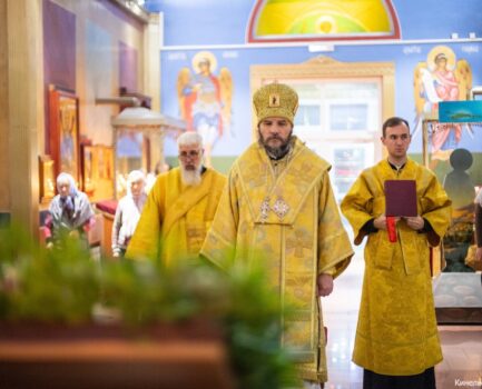 26 ноября 2025 года