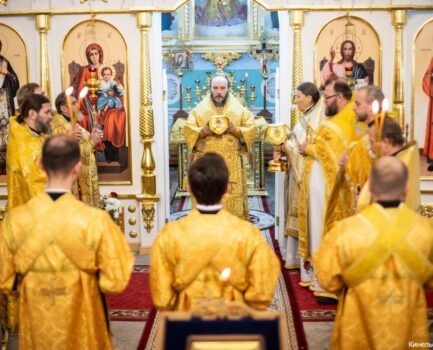 27 ноября 2025 года