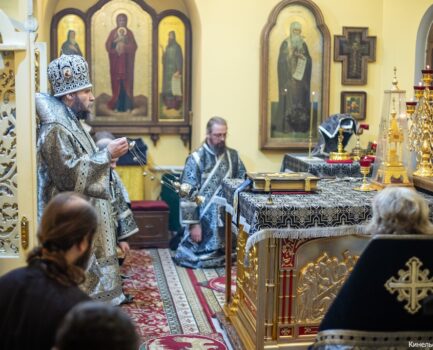 27 февраля 2026 года