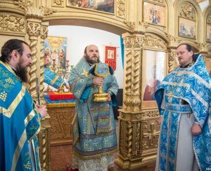 17 февраля 2026 года